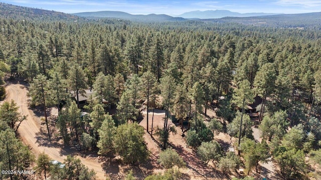 bird's eye view featuring a mountain view