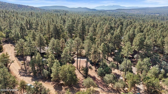 5681 W Manzanita Trl, Pine, AZ 85544 - photo 45