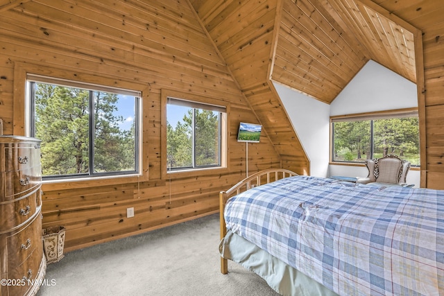 13821 Alpenglow Rd, Flagstaff, AZ 86001 - photo 14