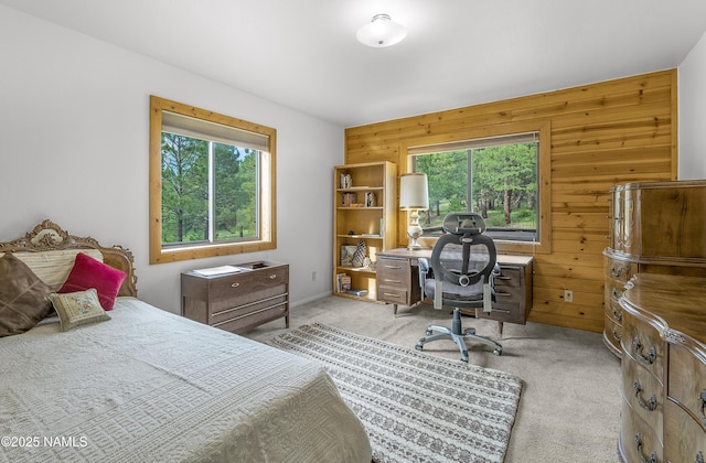 13821 Alpenglow Rd, Flagstaff, AZ 86001 - photo 11