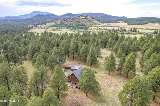 13821 Alpenglow Rd, Flagstaff, AZ 86001 - photo 32