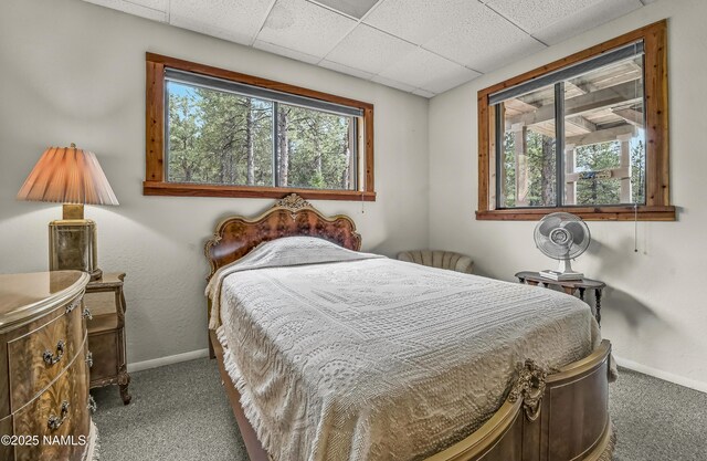 13821 Alpenglow Rd, Flagstaff, AZ 86001 - photo 21