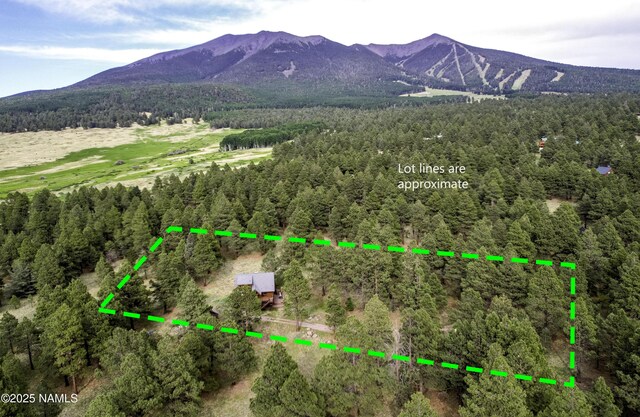 13821 Alpenglow Rd, Flagstaff, AZ 86001 - photo 36