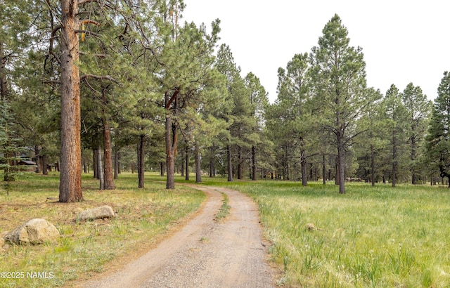 13821 Alpenglow Rd, Flagstaff, AZ 86001 - photo 30