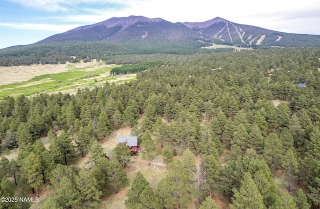 13821 Alpenglow Rd, Flagstaff, AZ 86001 - photo 34