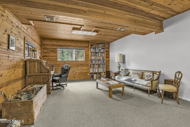 13821 Alpenglow Rd, Flagstaff, AZ 86001 - photo 17