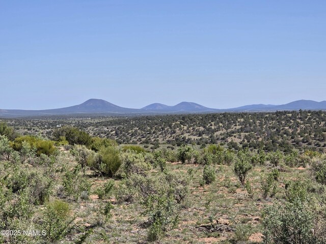 8175 Sharp Knife Rd, Williams, AZ 86046 - photo 31