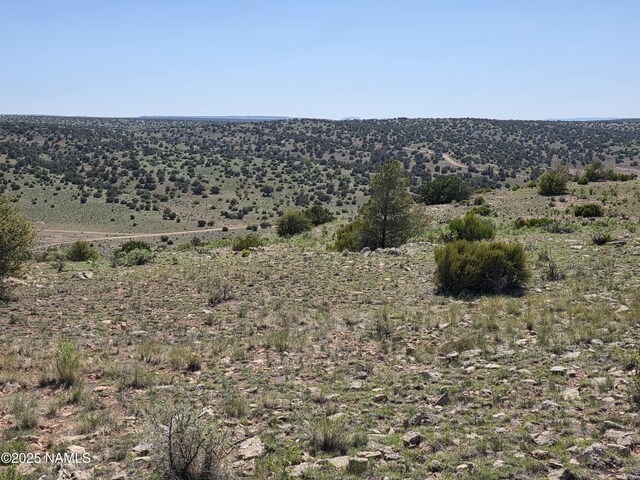 8175 Sharp Knife Rd, Williams, AZ 86046 - photo 29