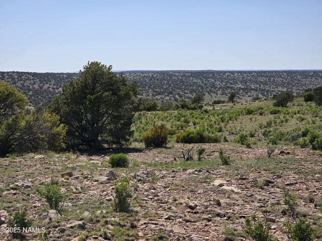 8175 Sharp Knife Rd, Williams, AZ 86046 - photo 27