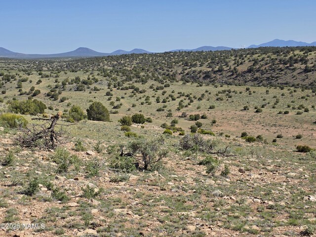 8175 Sharp Knife Rd, Williams, AZ 86046 - photo 15