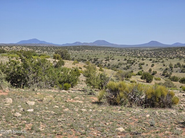 8175 Sharp Knife Rd, Williams, AZ 86046 - photo 28