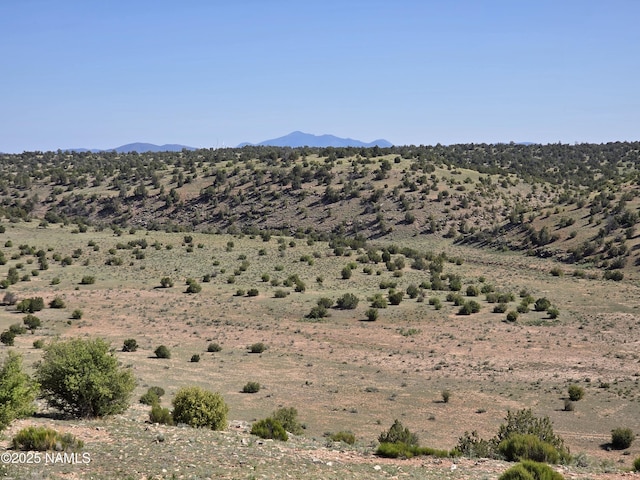 8175 Sharp Knife Rd, Williams, AZ 86046 - photo 13