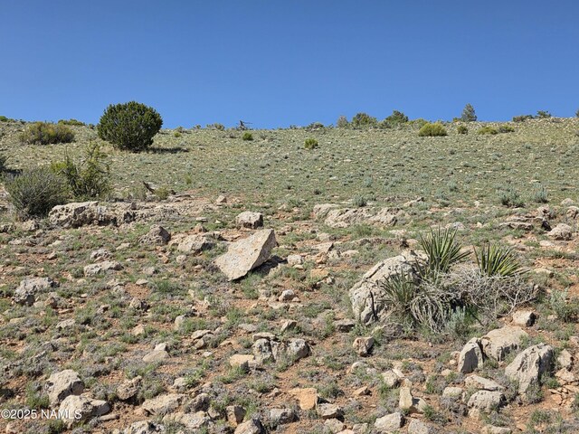 8175 Sharp Knife Rd, Williams, AZ 86046 - photo 9