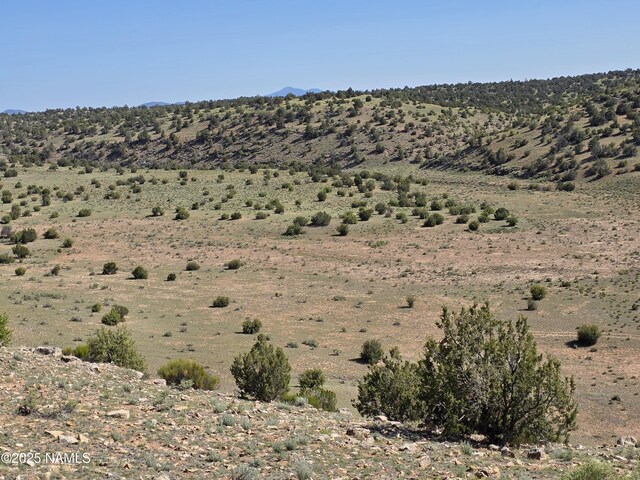 8175 Sharp Knife Rd, Williams, AZ 86046 - photo 3
