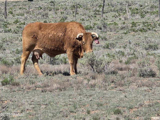 8175 Sharp Knife Rd, Williams, AZ 86046 - photo 1