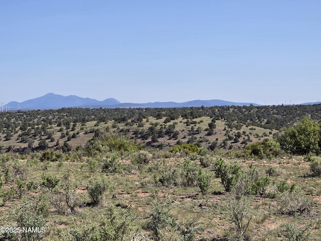 8175 Sharp Knife Rd, Williams, AZ 86046 - photo 2