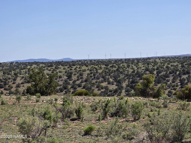 8175 Sharp Knife Rd, Williams, AZ 86046 - photo 33