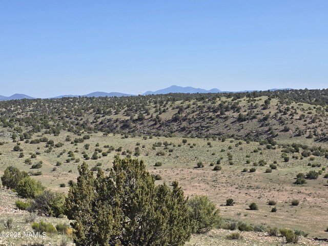 8175 Sharp Knife Rd, Williams, AZ 86046 - photo 19