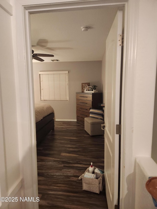 hallway with dark wood finished floors