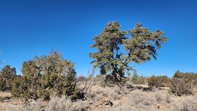 5373 Red Butte Rd, Williams, AZ 86046 - photo 2