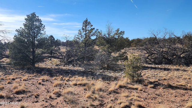 5373 Red Butte Rd, Williams, AZ 86046 - photo 18