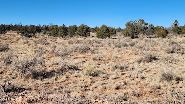 5373 Red Butte Rd, Williams, AZ 86046 - photo 25