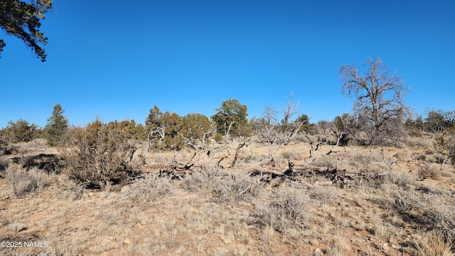 5373 Red Butte Rd, Williams, AZ 86046 - photo 26