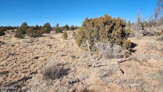 5373 Red Butte Rd, Williams, AZ 86046 - photo 5