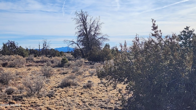 5373 Red Butte Rd, Williams, AZ 86046 - photo 29