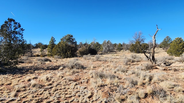5373 Red Butte Rd, Williams, AZ 86046 - photo 22
