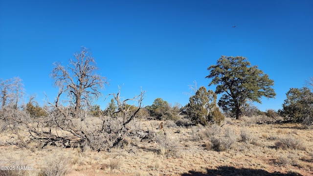 5373 Red Butte Rd, Williams, AZ 86046 - photo 7