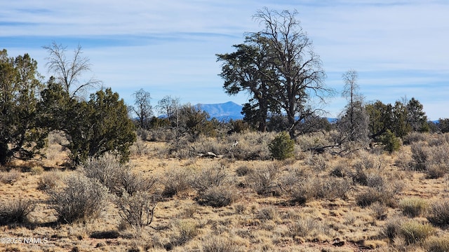 5373 Red Butte Rd, Williams, AZ 86046 - photo 3