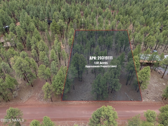 7418 E Robin Hood Rd, Williams, AZ 86046 - photo 2