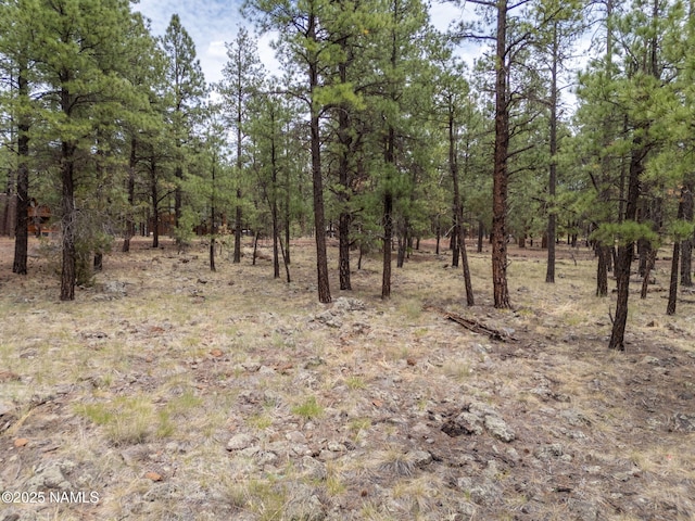 7418 E Robin Hood Rd, Williams, AZ 86046 - photo 13