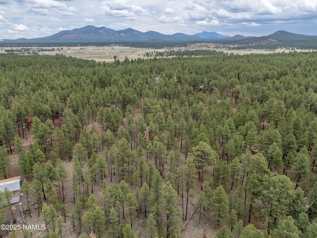 7418 E Robin Hood Rd, Williams, AZ 86046 - photo 7