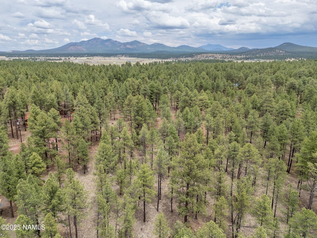 7418 E Robin Hood Rd, Williams, AZ 86046 - photo 16