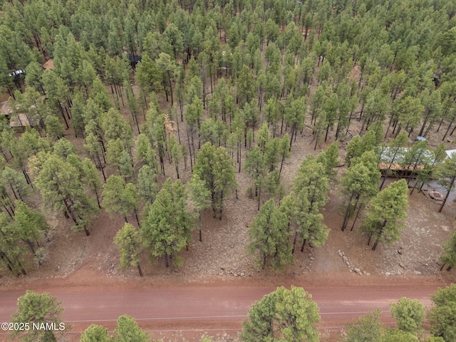 7418 E Robin Hood Rd, Williams, AZ 86046 - photo 4