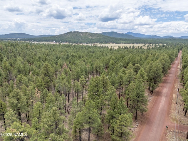 7418 E Robin Hood Rd, Williams, AZ 86046 - photo 19