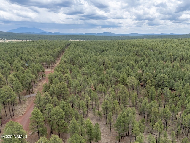 7418 E Robin Hood Rd, Williams, AZ 86046 - photo 6