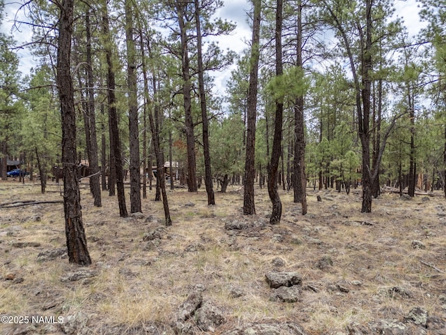 7418 E Robin Hood Rd, Williams, AZ 86046 - photo 14