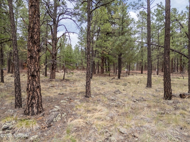 7418 E Robin Hood Rd, Williams, AZ 86046 - photo 15