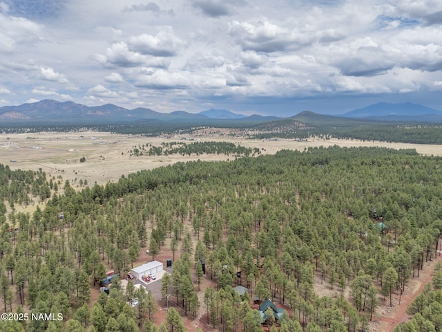 7418 E Robin Hood Rd, Williams, AZ 86046 - photo 1