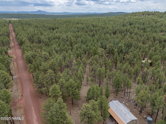7418 E Robin Hood Rd, Williams, AZ 86046 - photo 5