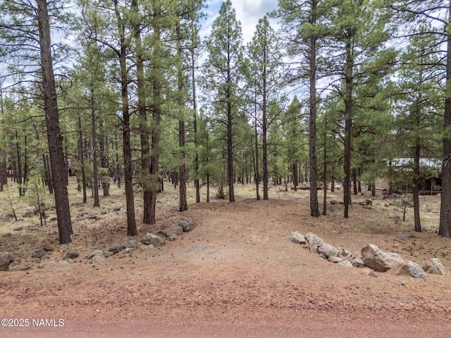 7418 E Robin Hood Rd, Williams, AZ 86046 - photo 10