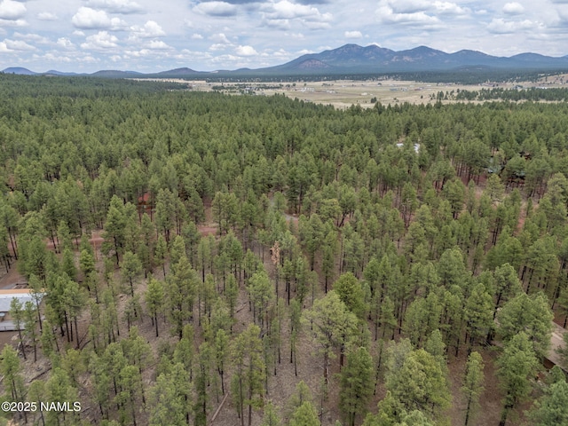 7418 E Robin Hood Rd, Williams, AZ 86046 - photo 8