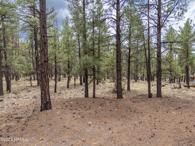 7418 E Robin Hood Rd, Williams, AZ 86046 - photo 11