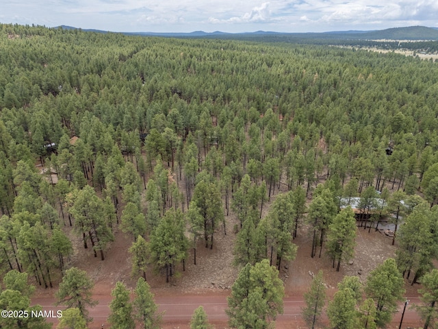 7418 E Robin Hood Rd, Williams, AZ 86046 - photo 3