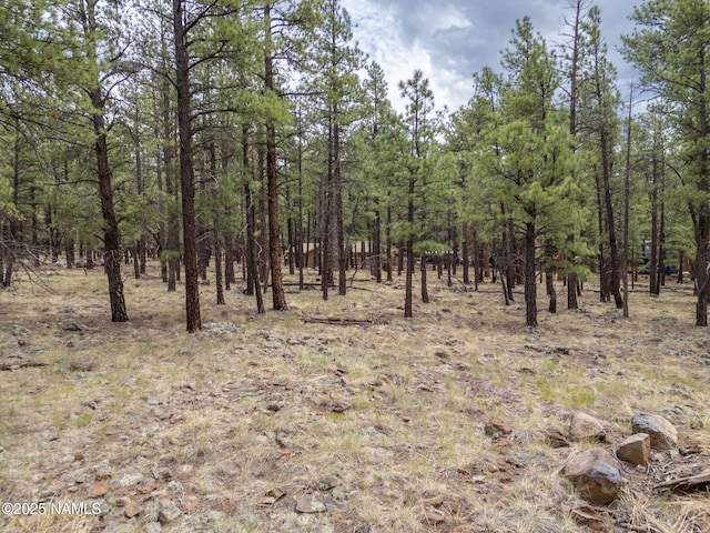7418 E Robin Hood Rd, Williams, AZ 86046 - photo 12