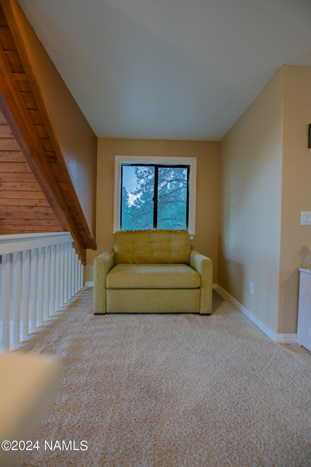 unfurnished living room with light carpet