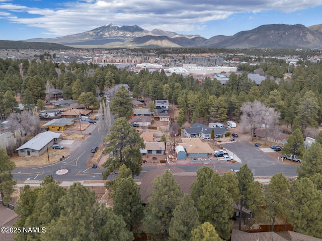 449 E Woodland Dr, Flagstaff, AZ 86001 - bird's eye view featuring a mountain view